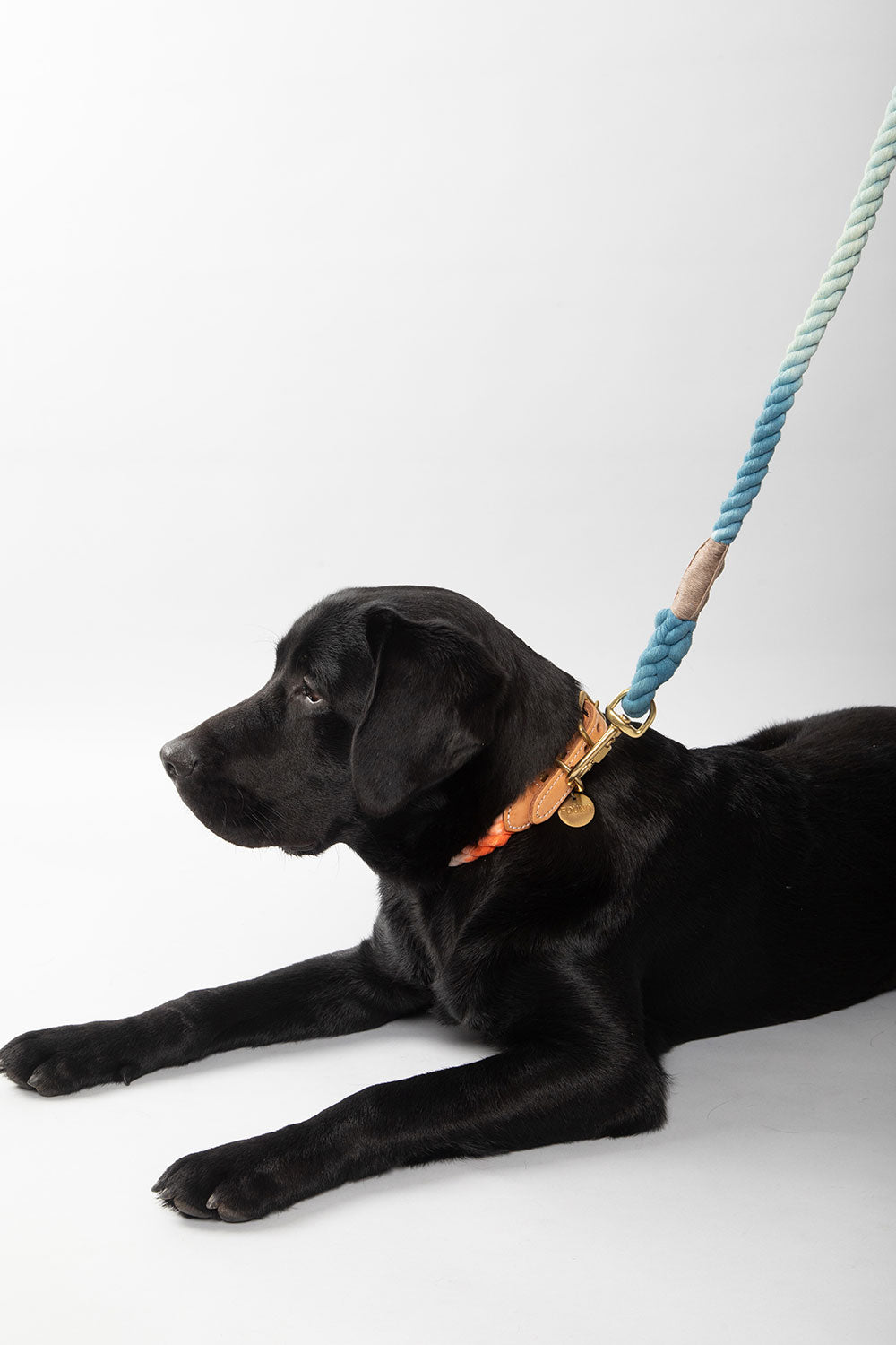 FOUND MY ANIMAL UP-CYCLED ROPE CAT & DOG COLLAR - NANTUCKET