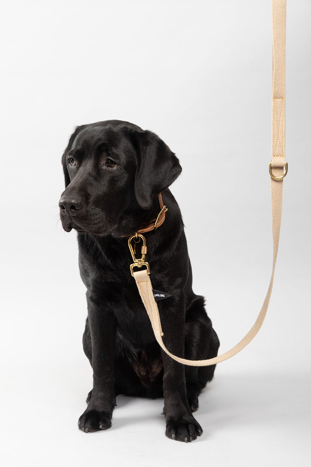 FOUND MY ANIMAL UP-CYCLED ROPE CAT & DOG COLLAR - NANTUCKET