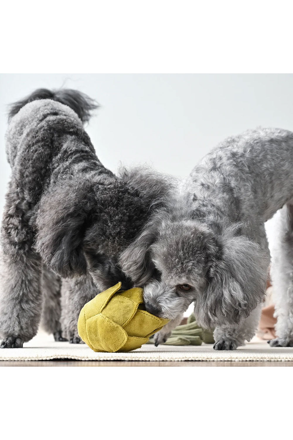 Lambwolf Collective ARTICHOKE