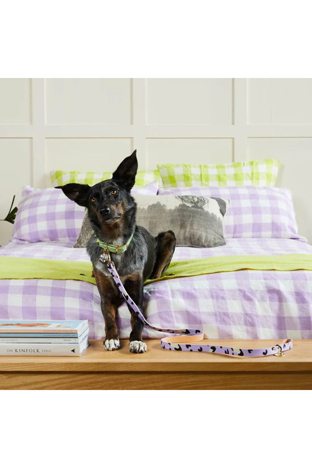 NICE DIGS ANIMAL DOG LEASH