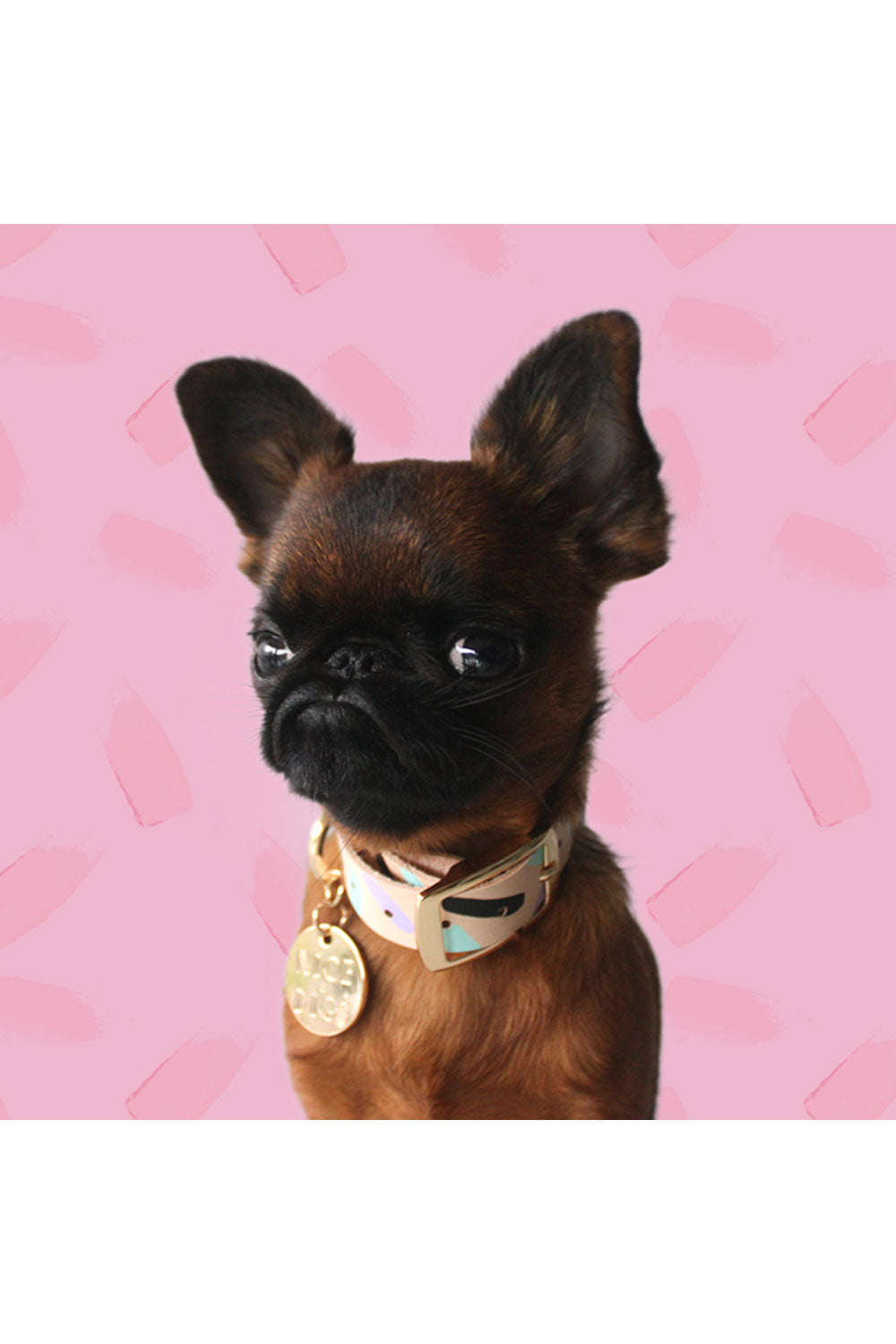 NICE DIGS TIGGY DOG COLLAR
