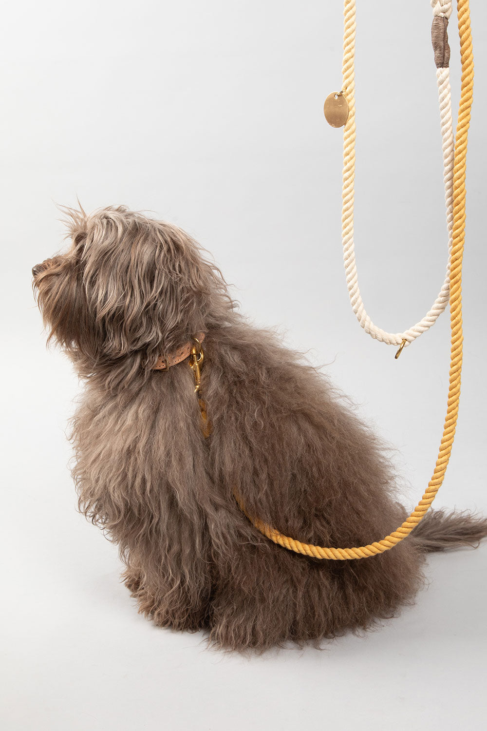FOUND MY ANIMAL UP-CYCLED ROPE CAT & DOG COLLAR - NANTUCKET