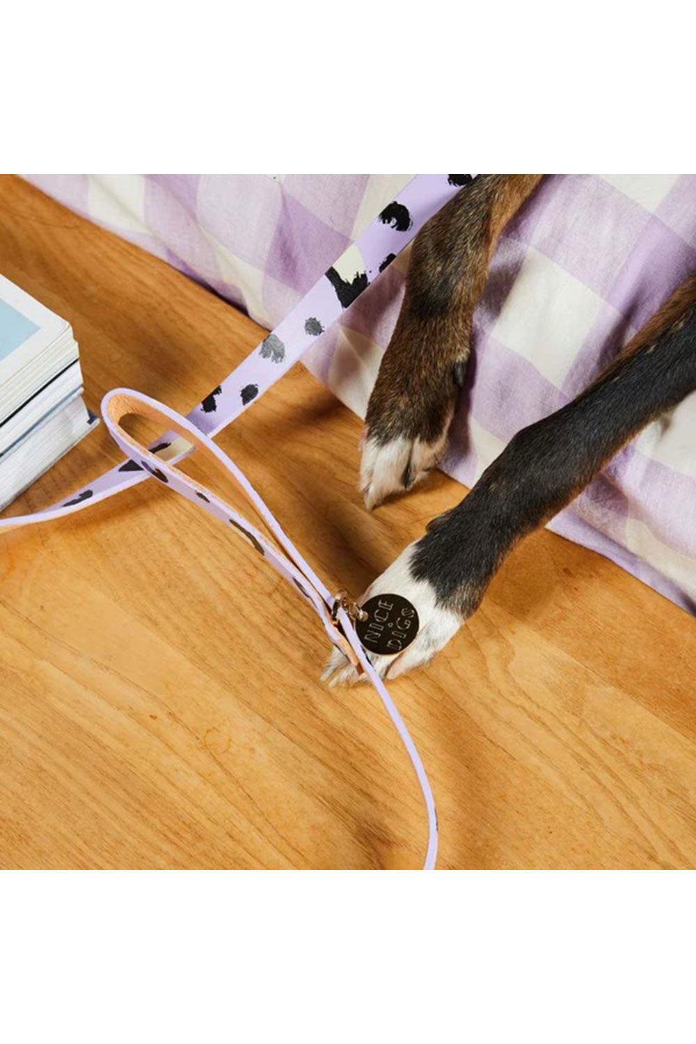 NICE DIGS ANIMAL DOG LEASH