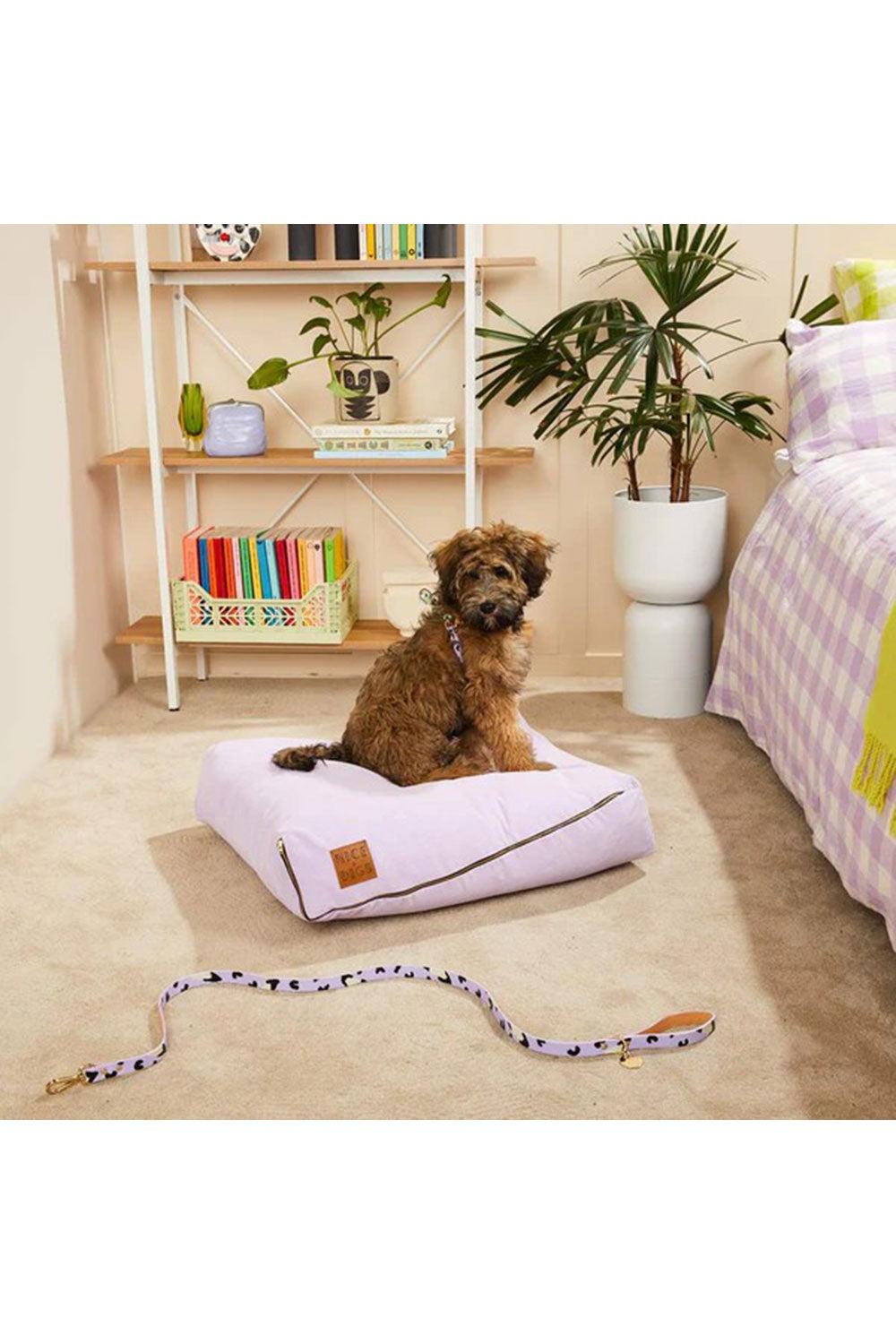NICE DIGS ANIMAL DOG LEASH