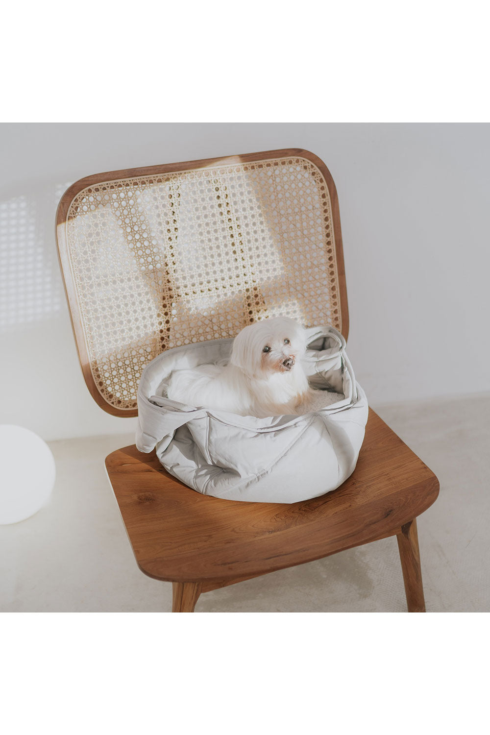 Lambwolf Collective OLLA PETITE PET CARRYCOT