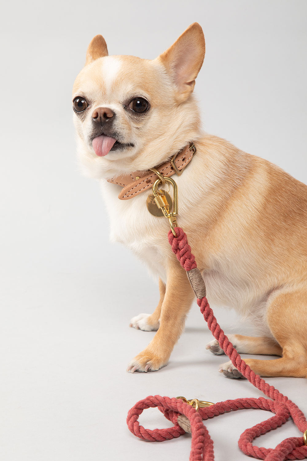 FOUND MY ANIMAL UP-CYCLED ROPE CAT & DOG COLLAR - NANTUCKET