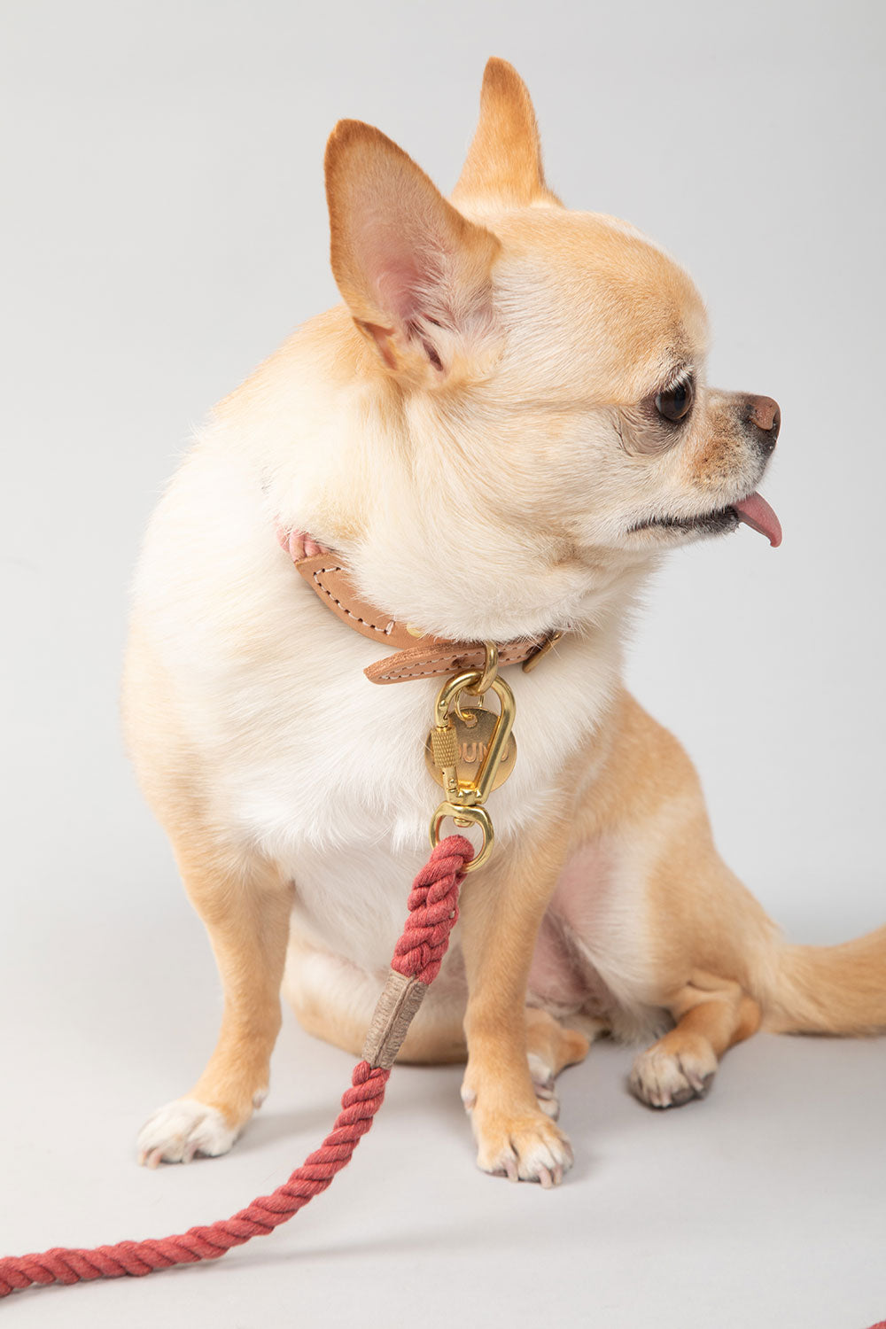 FOUND MY ANIMAL UP-CYCLED ROPE CAT & DOG COLLAR - NANTUCKET