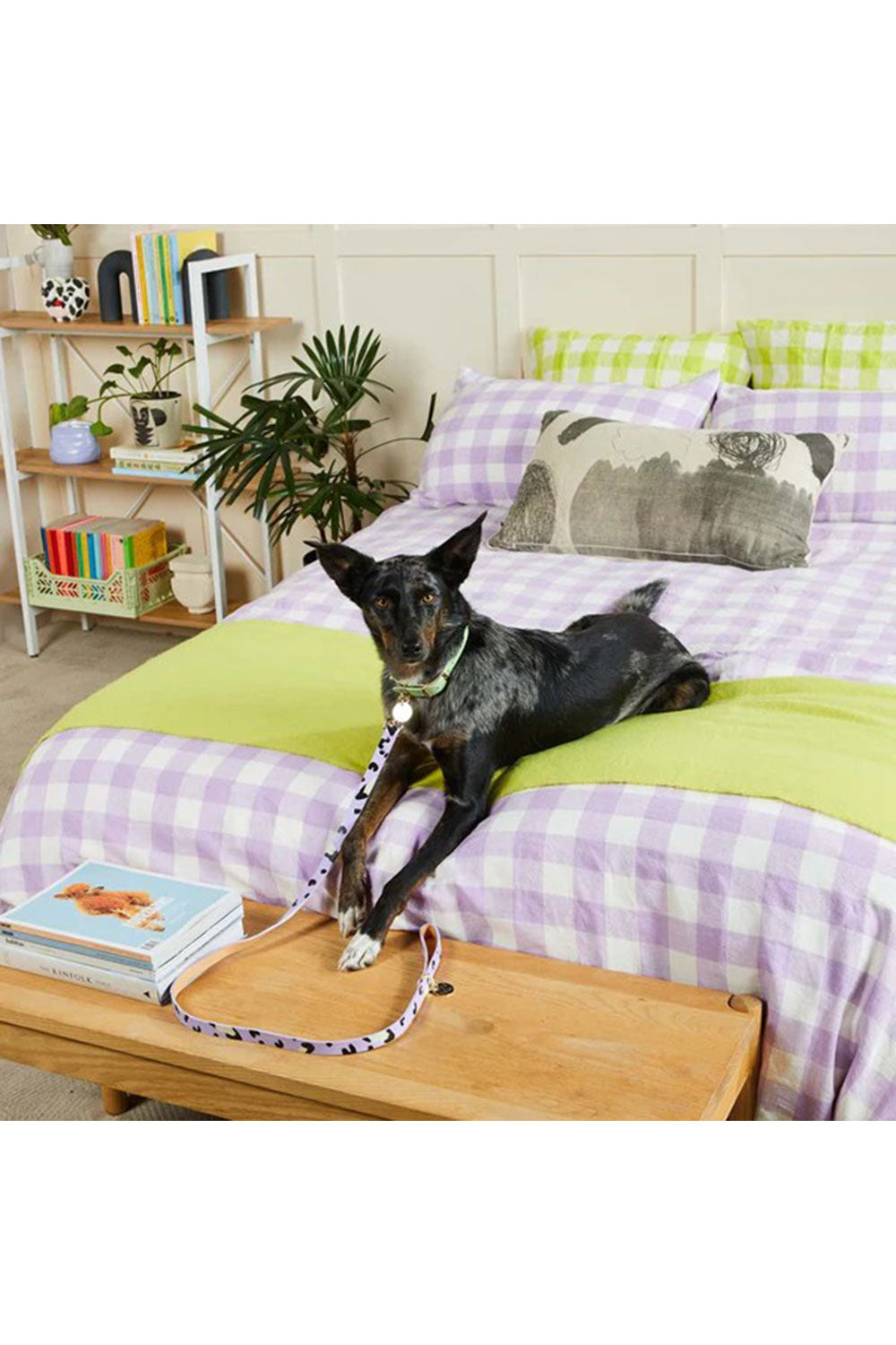 NICE DIGS ANIMAL DOG LEASH