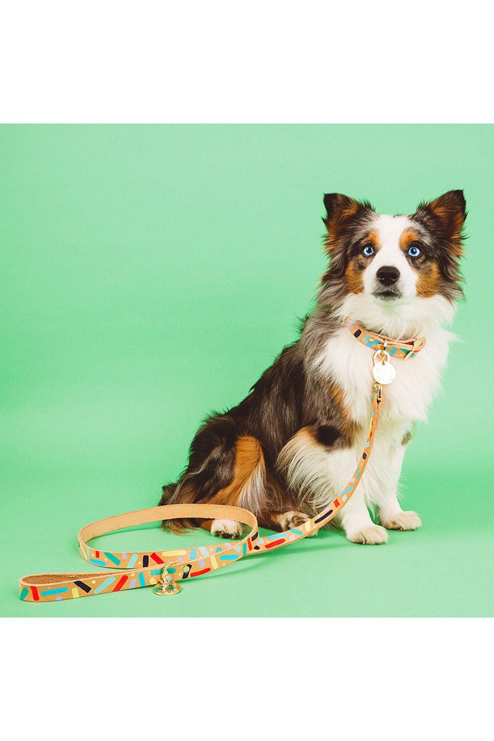 NICE DIGS CONFETTI DOG COLLAR