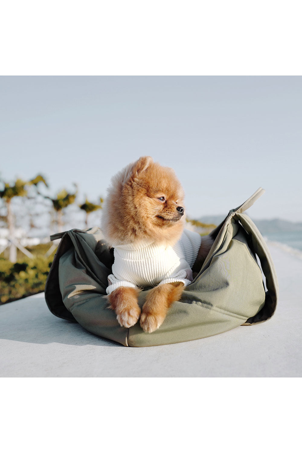 Lambwolf Collective OLLA PETITE PET CARRYCOT