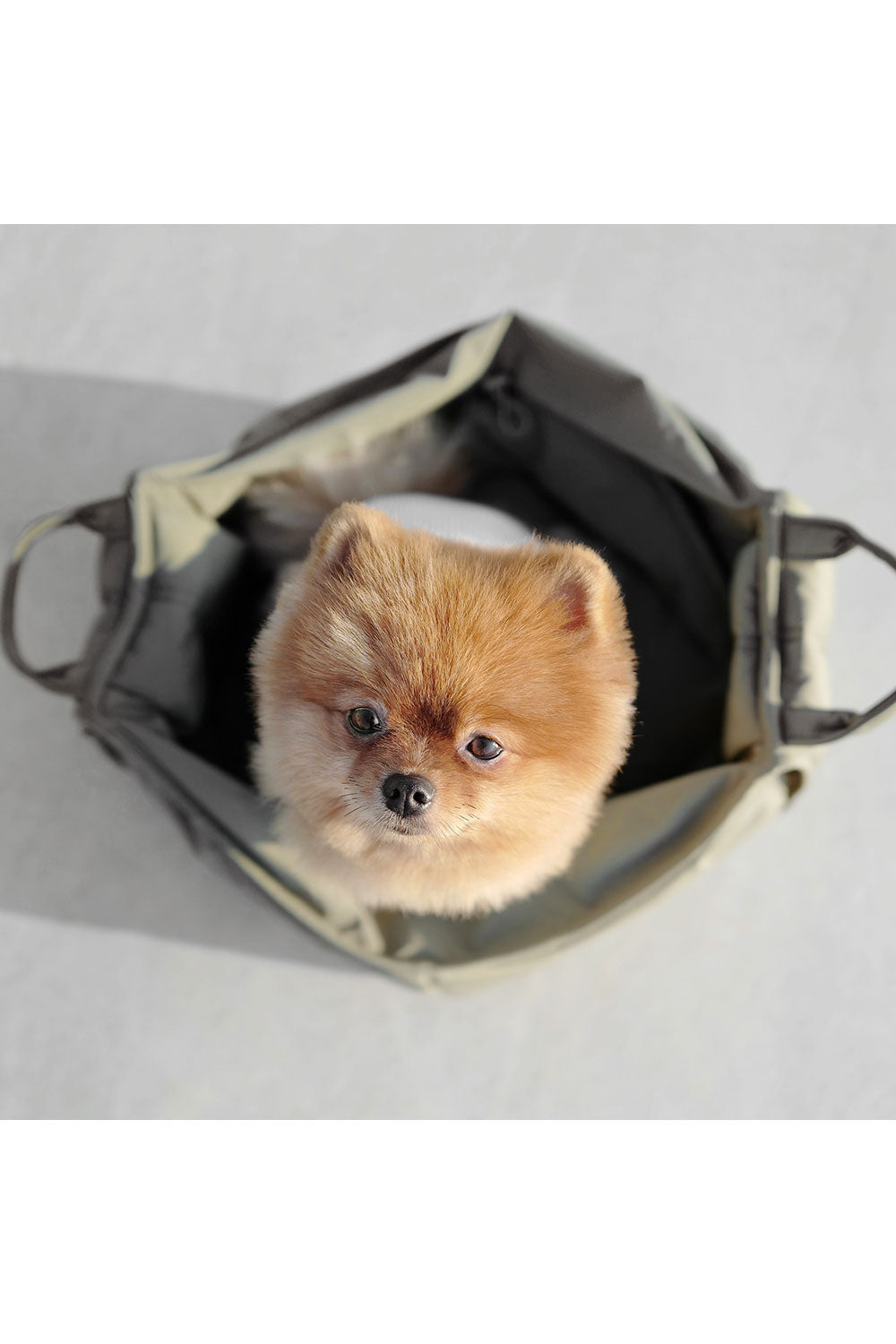 Lambwolf Collective OLLA PETITE PET CARRYCOT