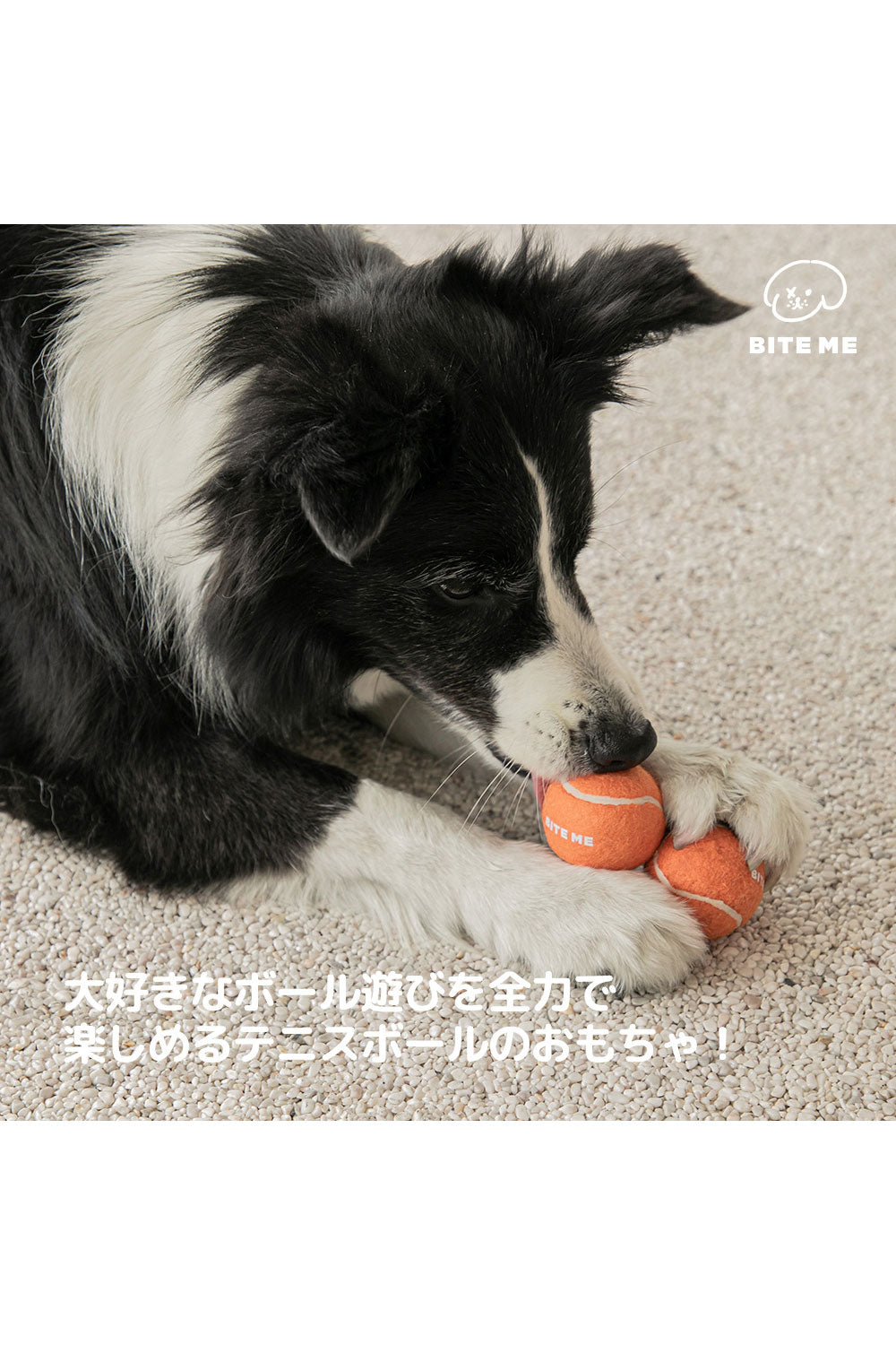 BITE ME テニスボールのおもちゃ