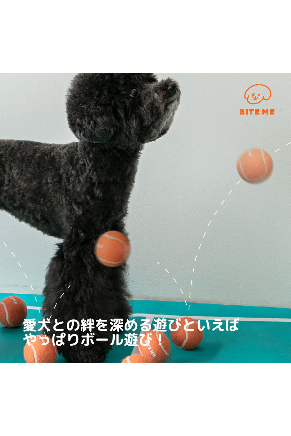 BITE ME テニスボールのおもちゃ