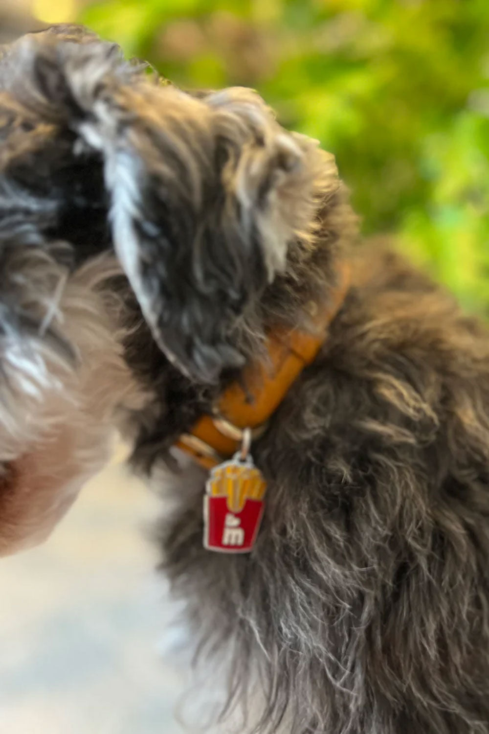 mellowbear NAME TAG
