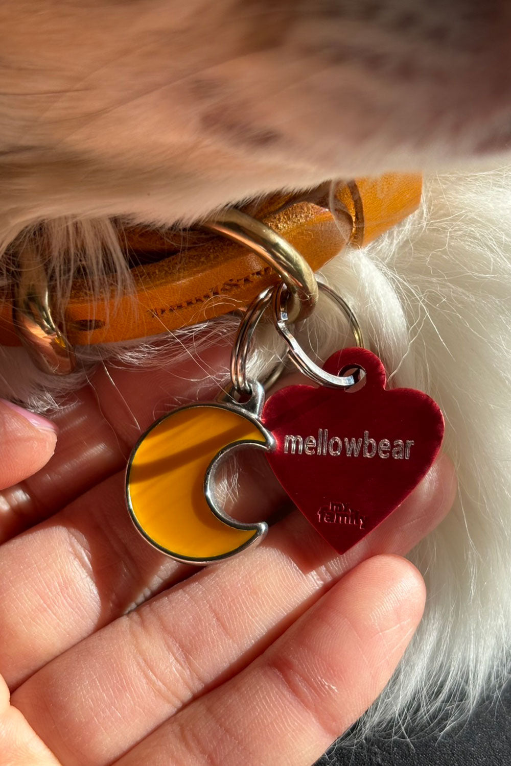 mellowbear NAME TAG