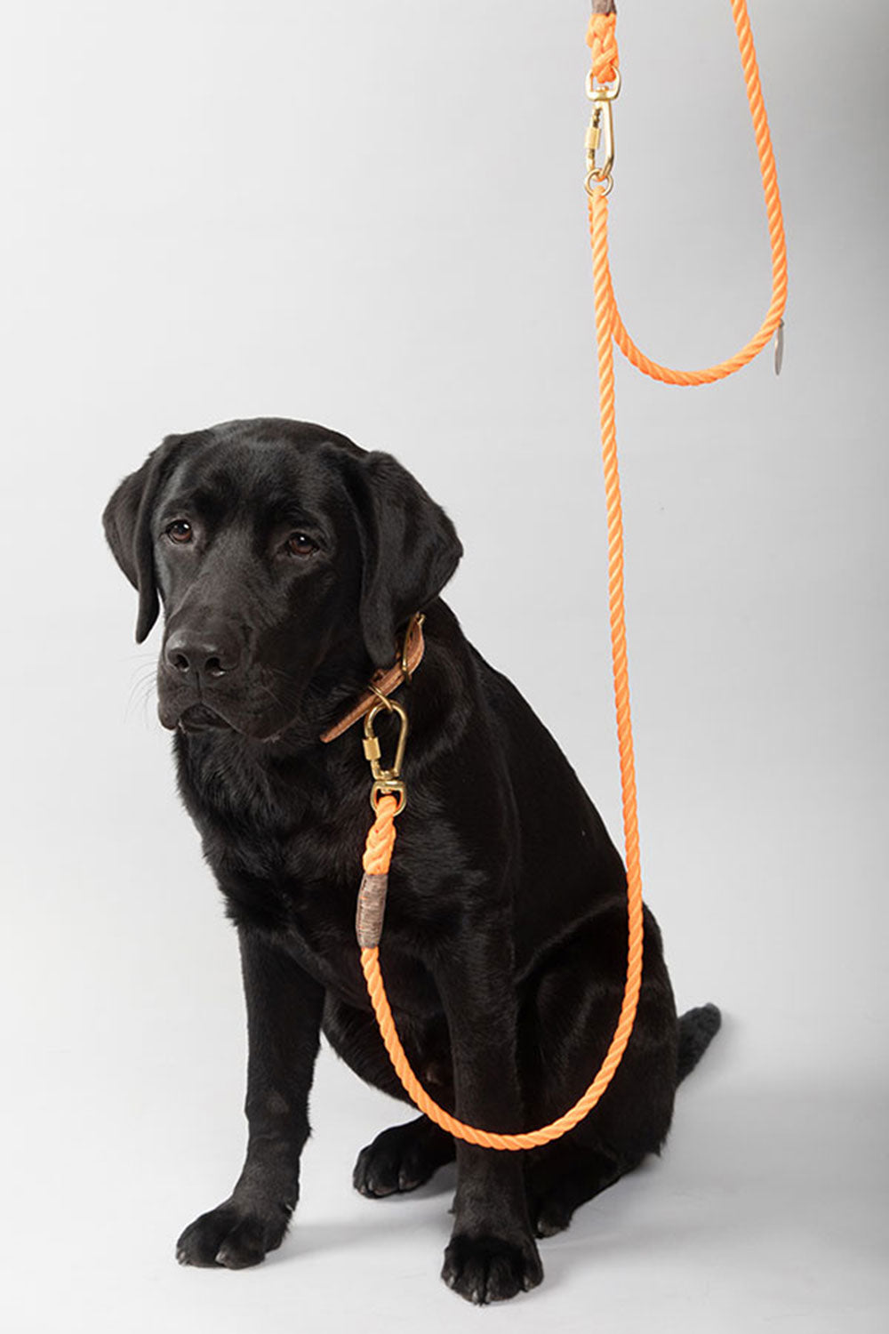 FOUND MY ANIMAL NYLON ROPE DOG LEASH, ADJUSTABLE - NAVY