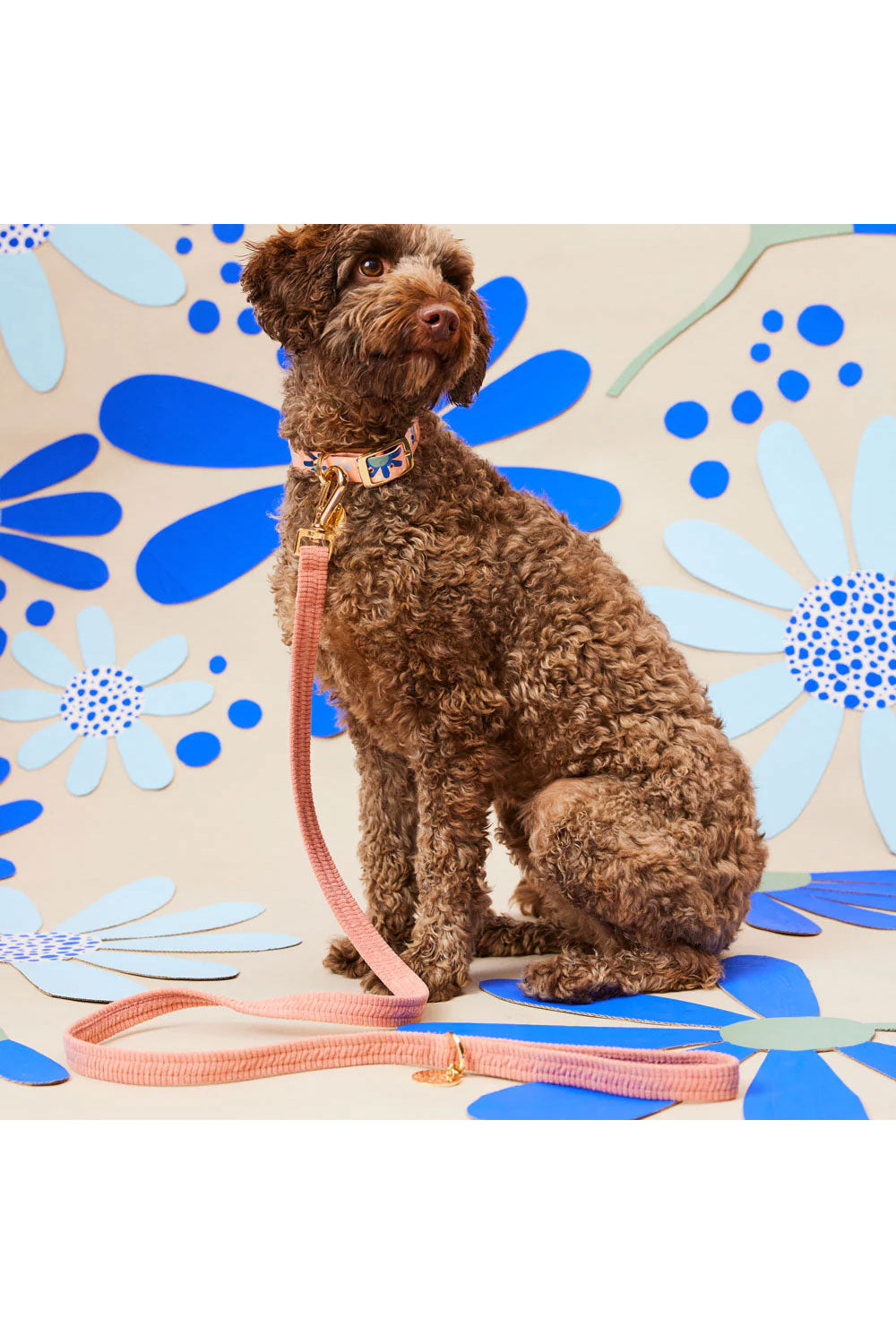 NICE DIGS CORD DOG LEASH