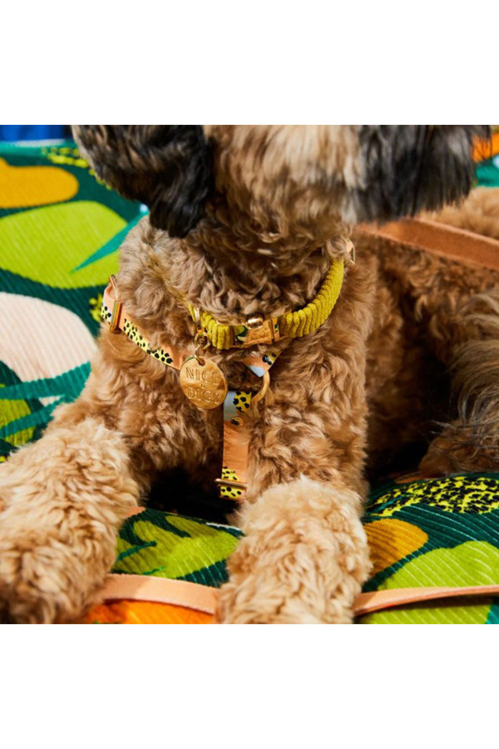 NICE DIGS CORD DOG CALLAR