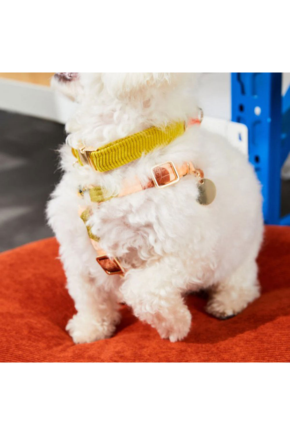 NICE DIGS CORD DOG CALLAR