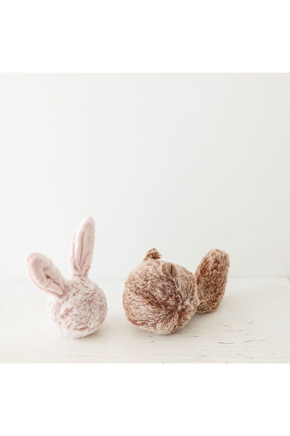 Lambwolf Collective SQUIRREL POP SQUEAKY + BOUNCY