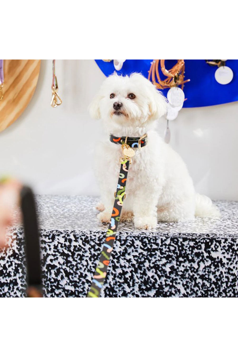 NICE DIGS MIDNIGHT MIRAGE DOG LEASH
