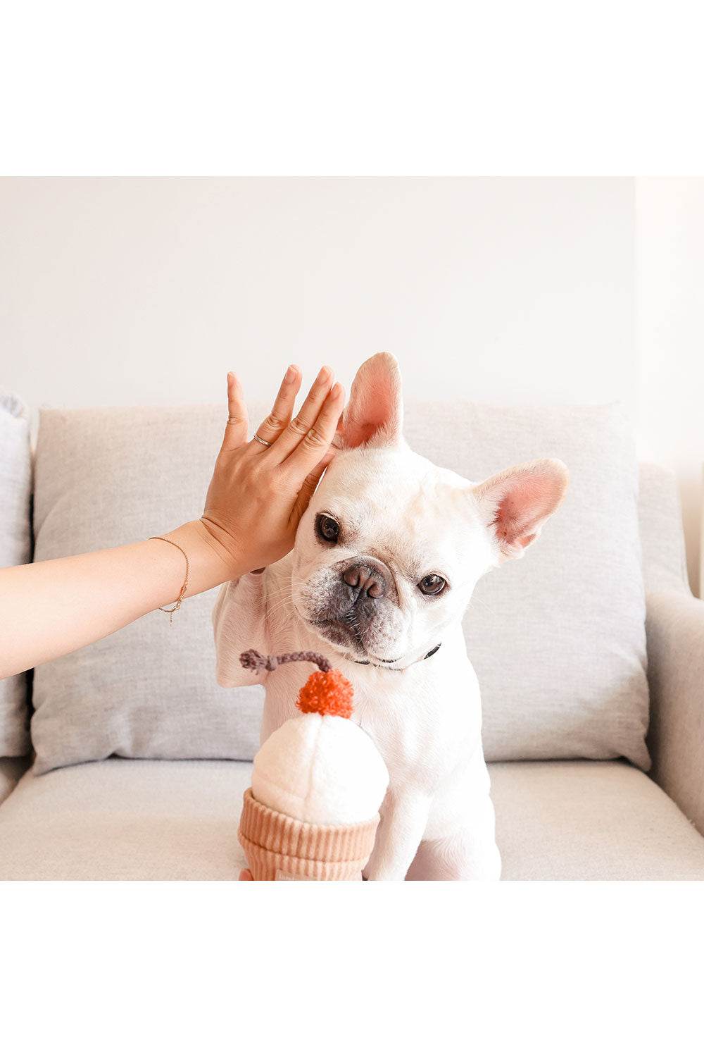 Lambwolf Collective ICECREAM POP