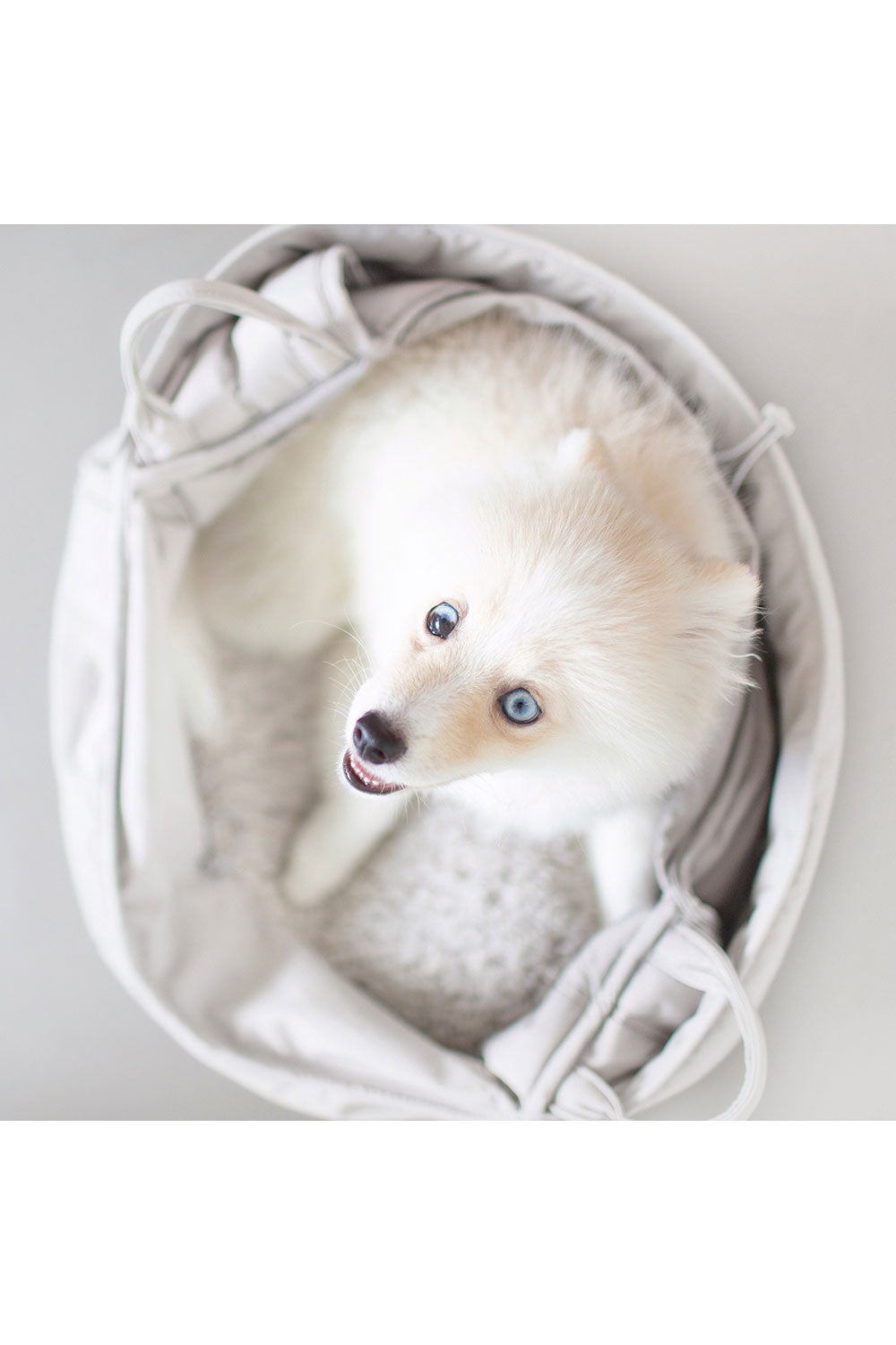 Lambwolf Collective OLLA PETITE PET CARRYCOT
