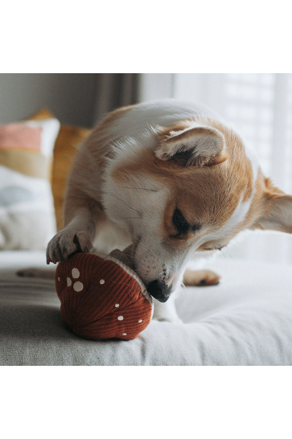 Lambwolf Collective SHROOM