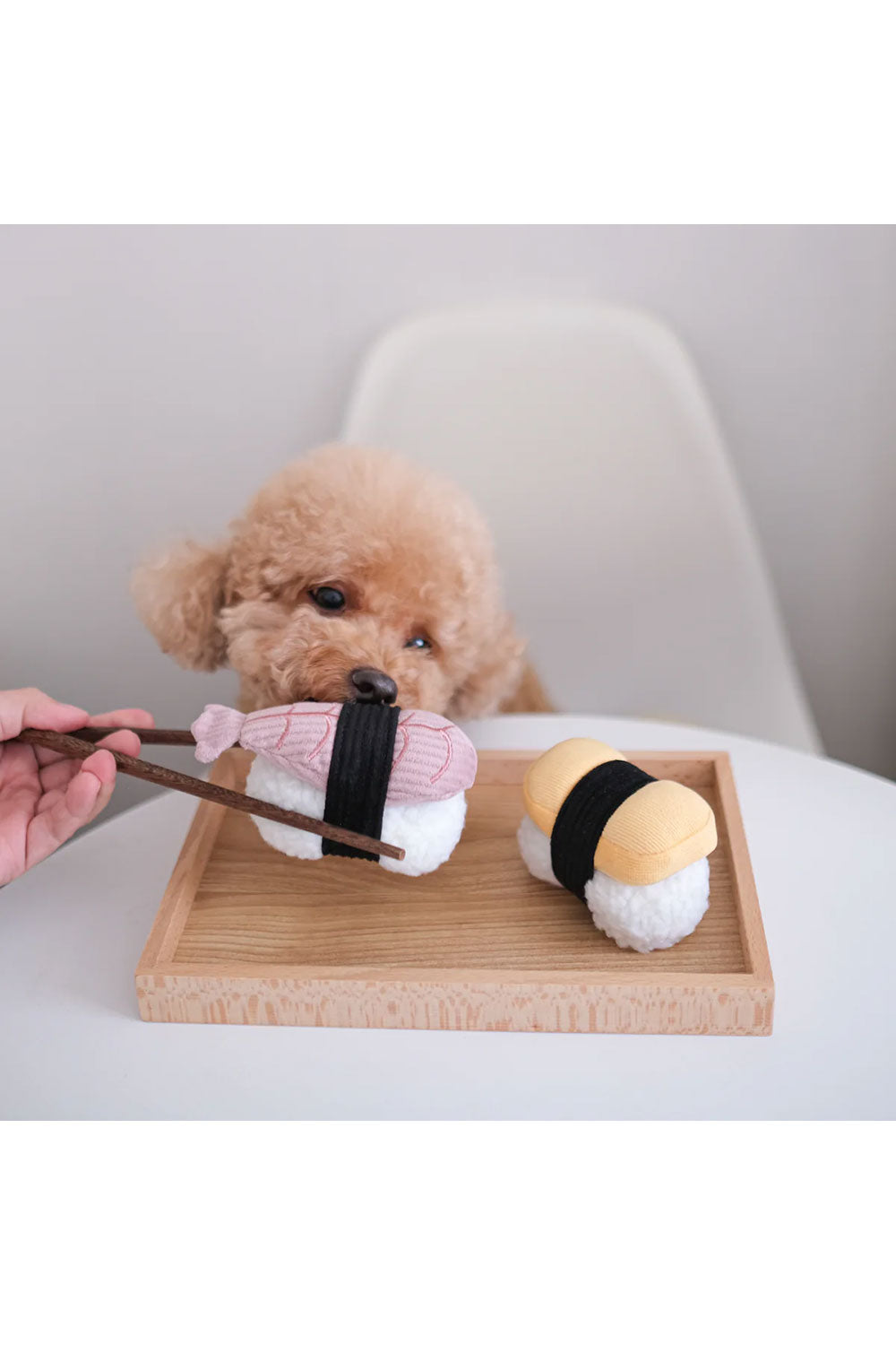 Lambwolf Collective SUSHI