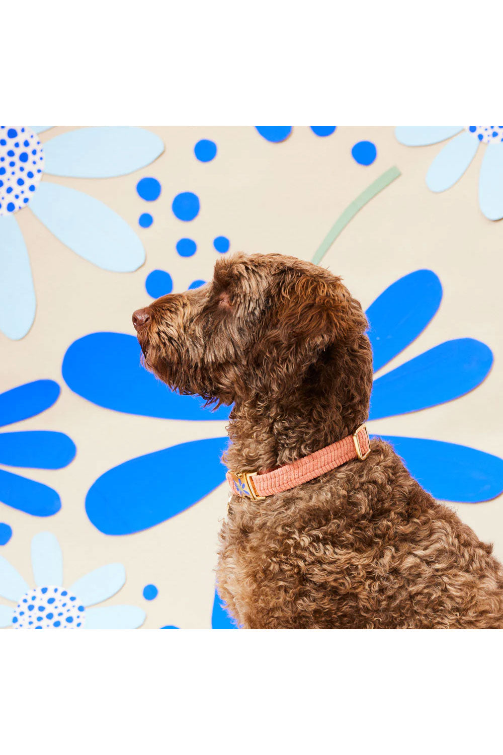 NICE DIGS CORD DOG COLLAR