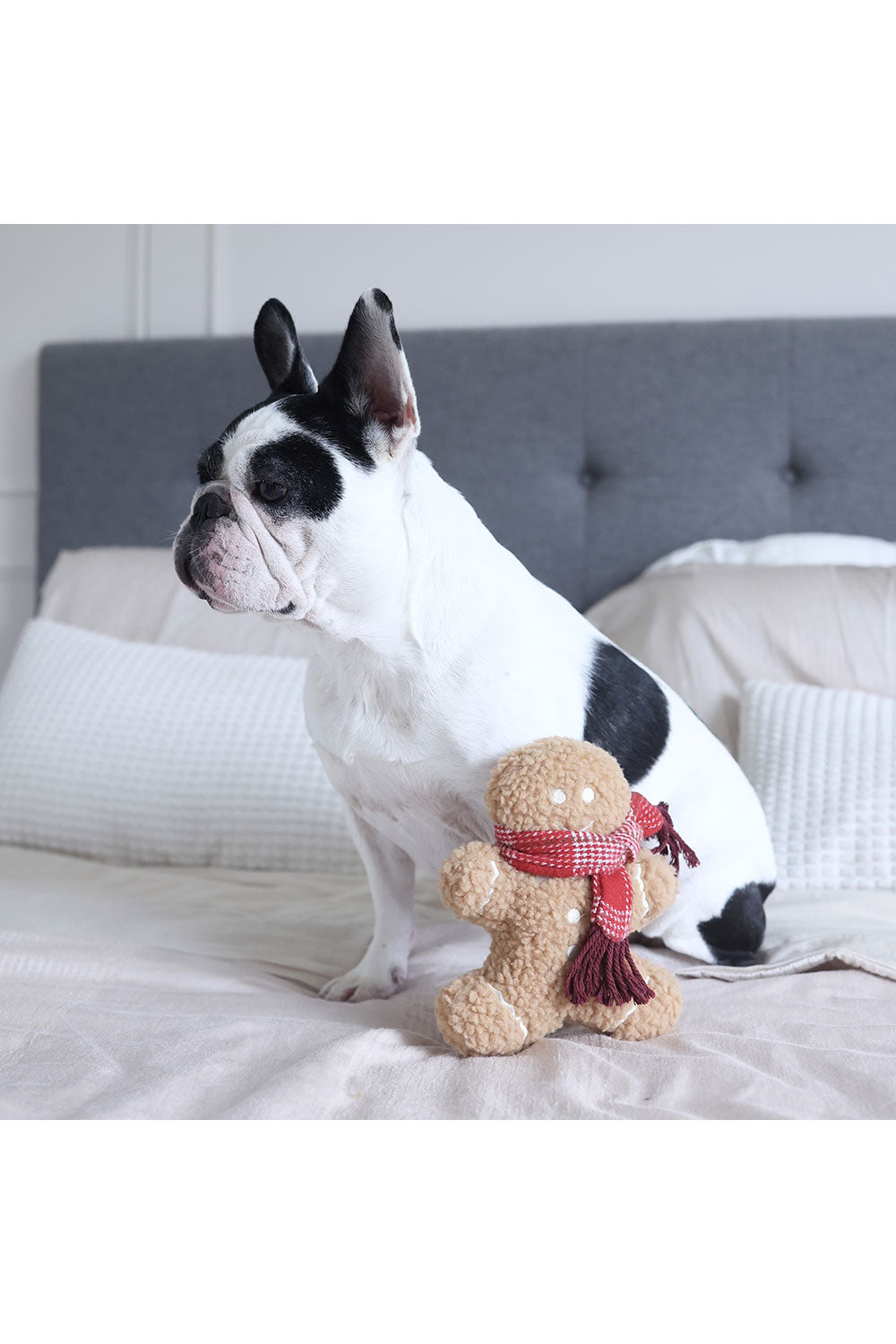 Lambwolf Collective MISTER GINGERBREAD