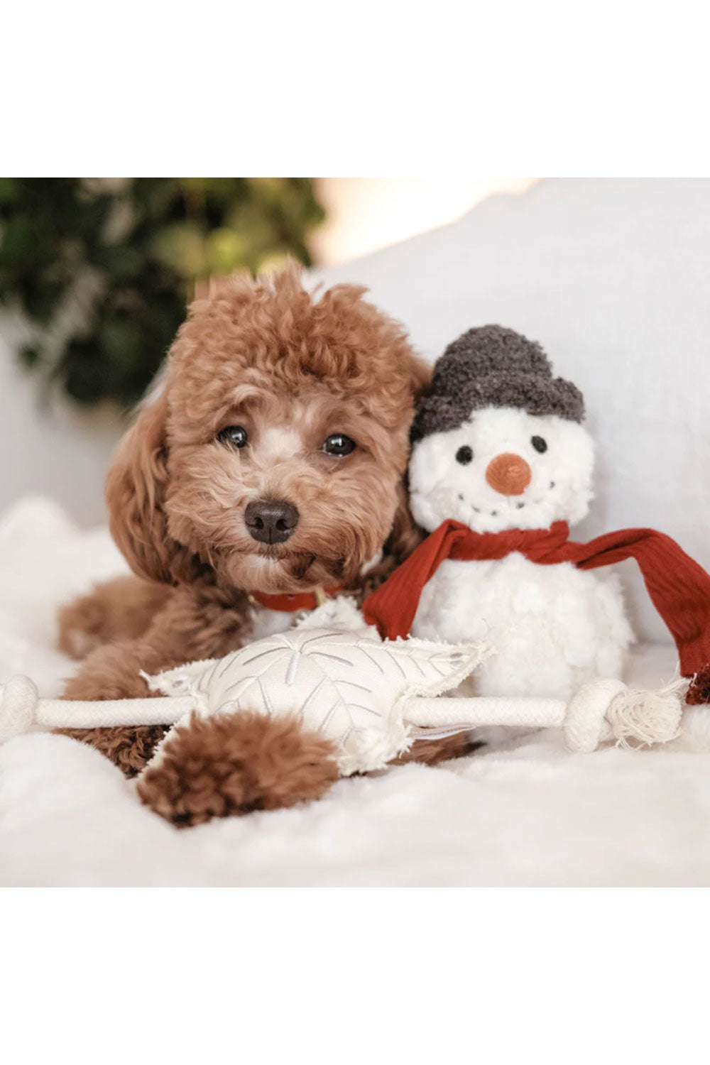 Lambwolf Collective SNOWMAN