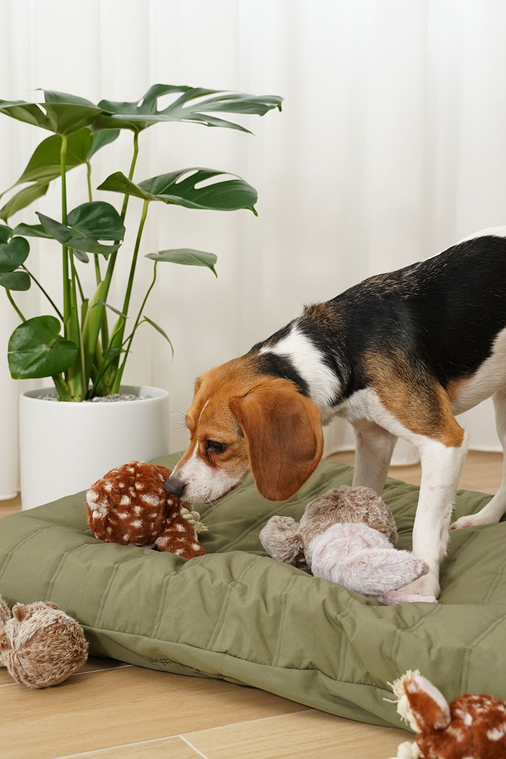 Lambwolf Collective Fawn POP squeaky + bouncy