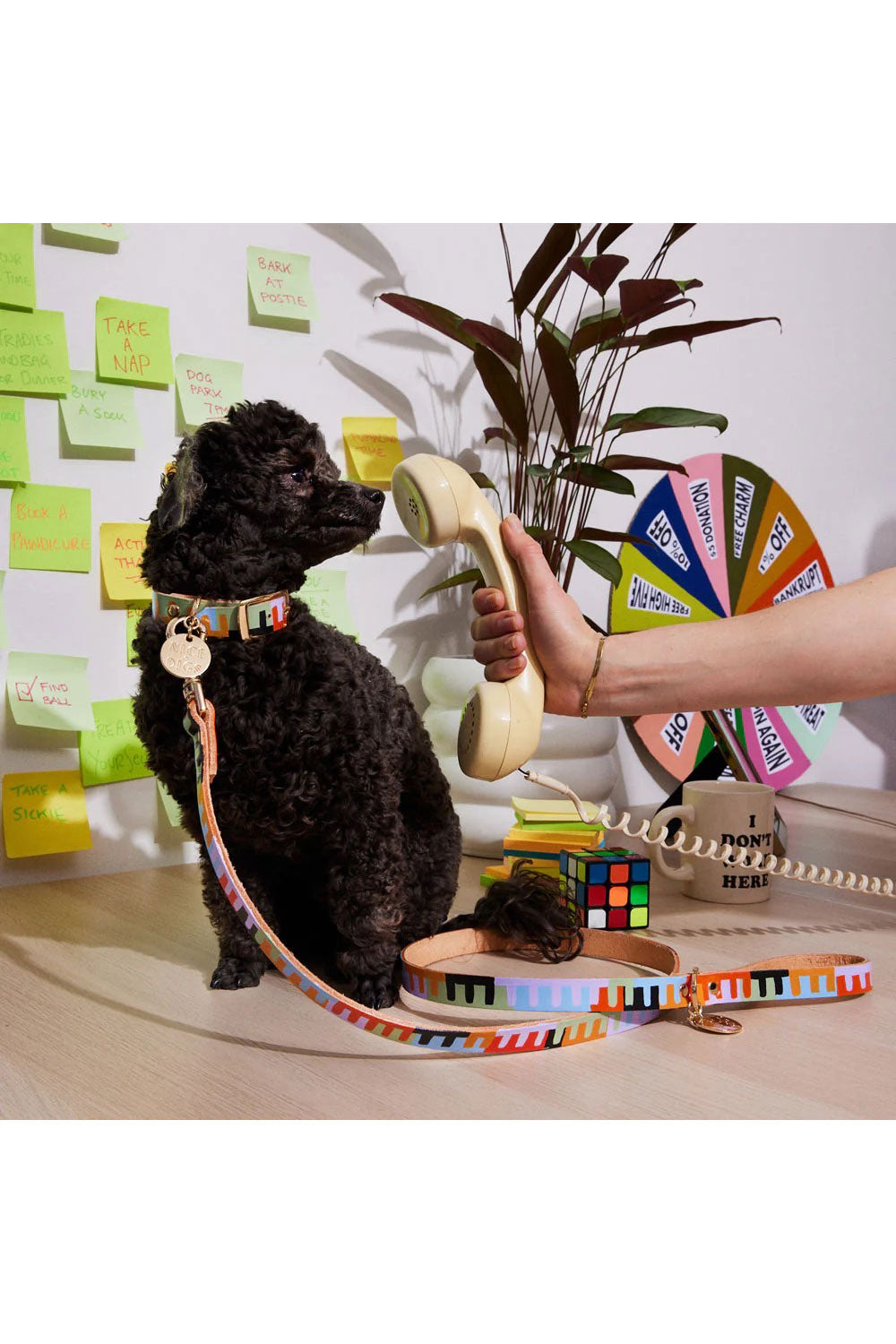 NICE DIGS LEVEL UP DOG LEASH
