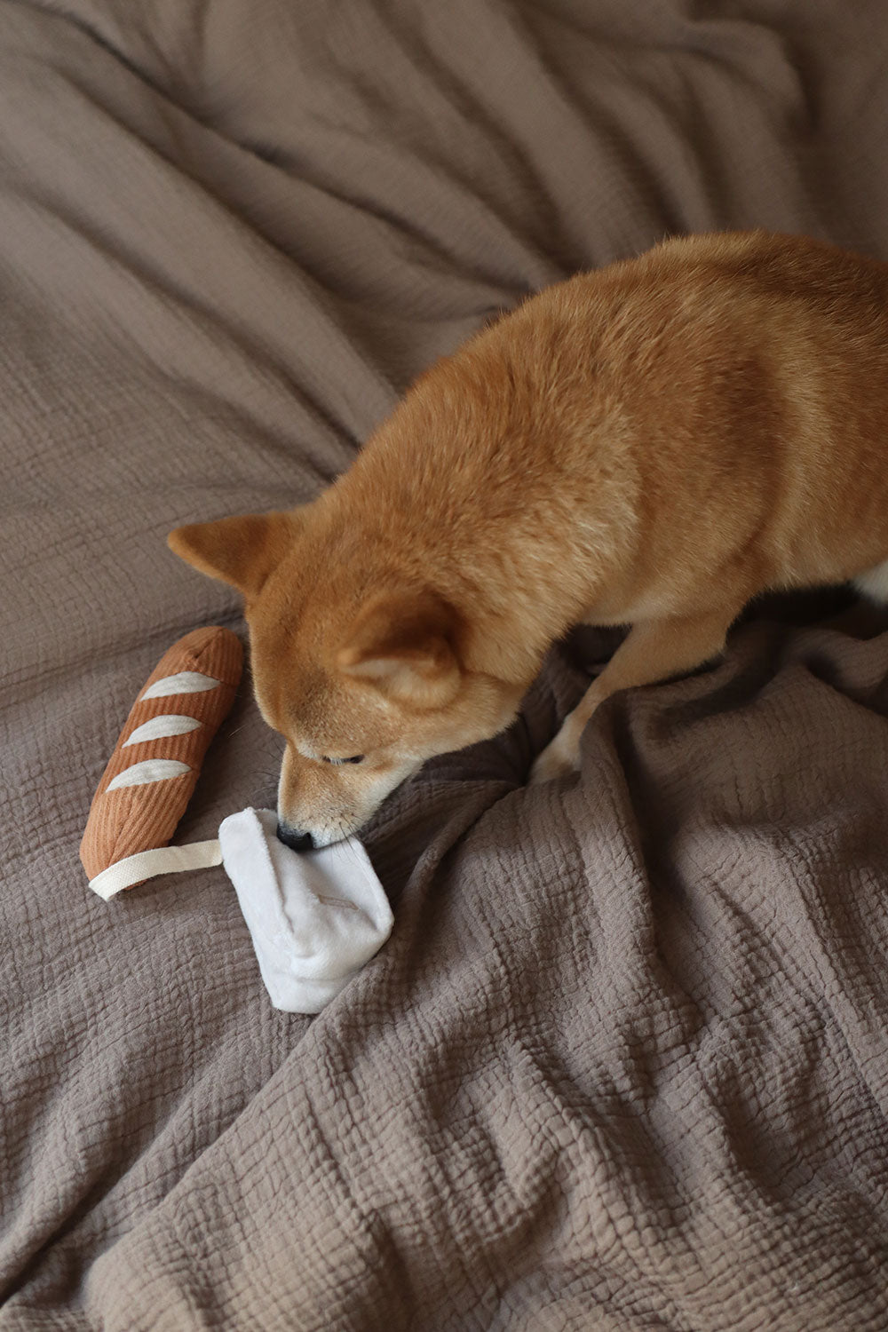 Lambwolf Collective MINI BAGUETTE crinkly paper bag + squeaky