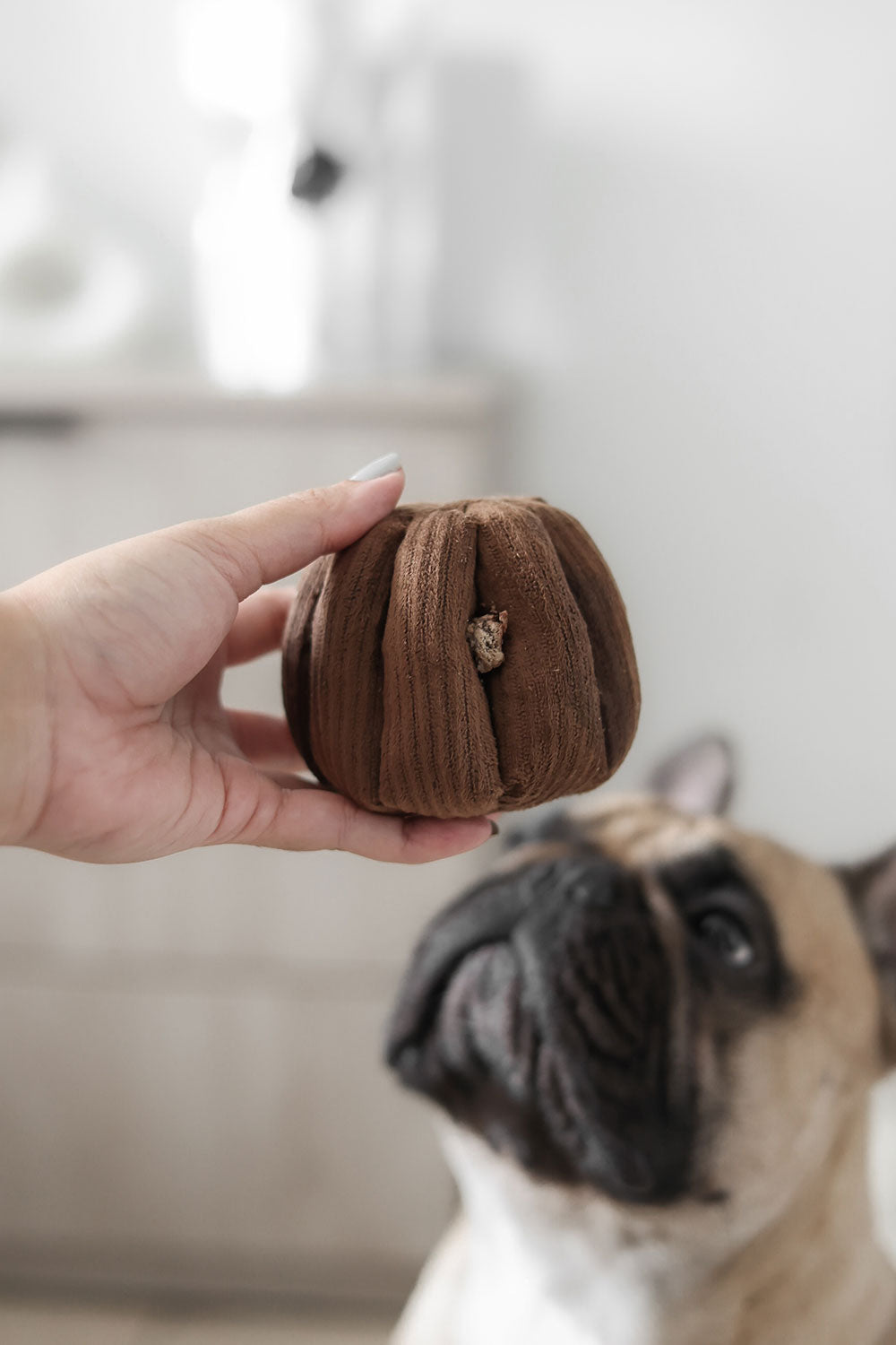 Lambwolf Collective CANELE squeaky + snuffle