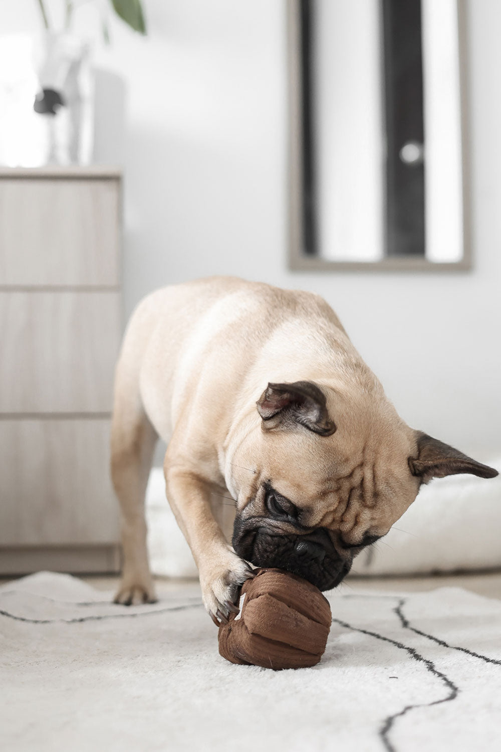 Lambwolf Collective CANELE squeaky + snuffle