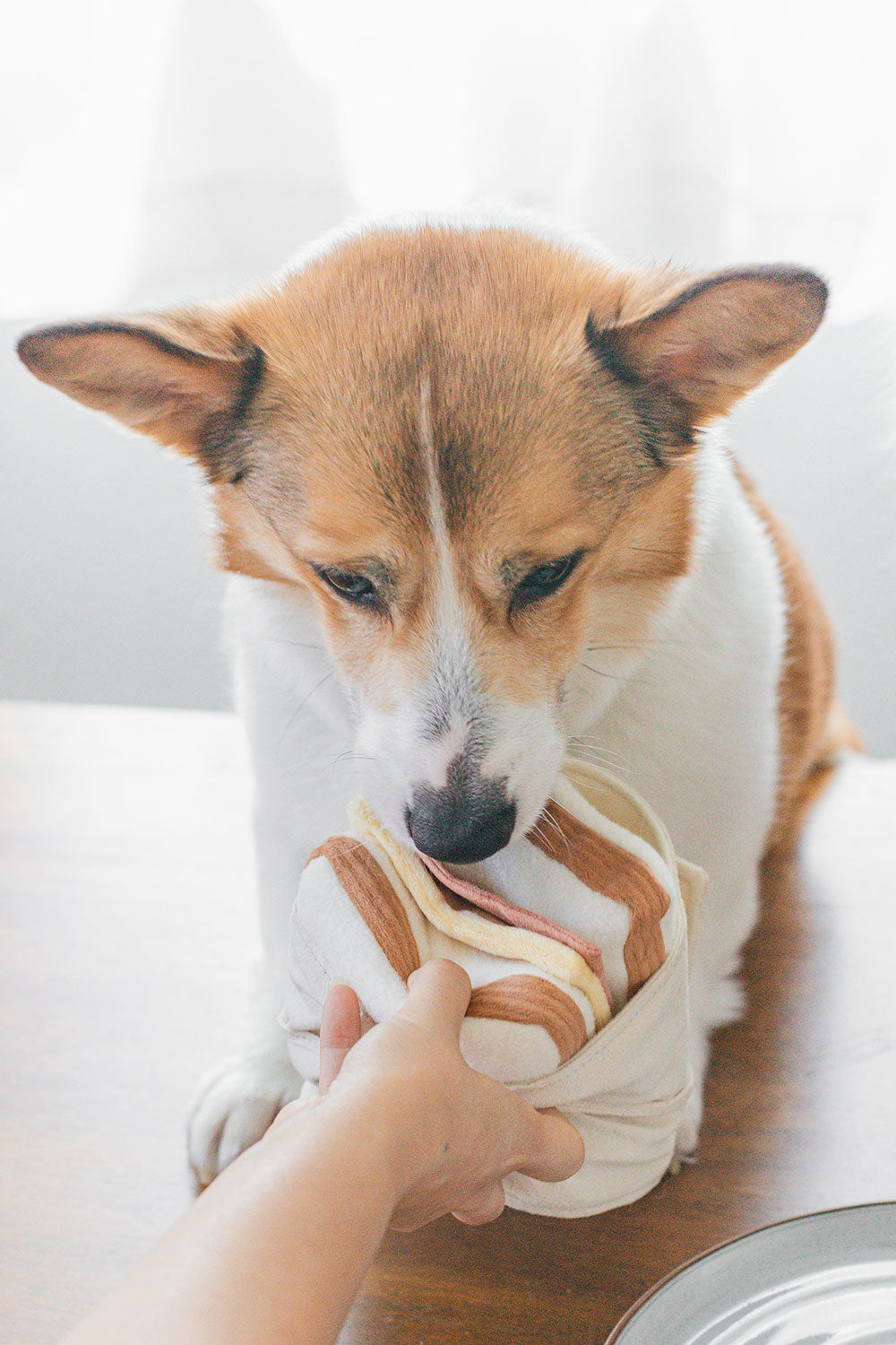 Lambwolf Collective HAM & CHEESE squeaky + snuffle