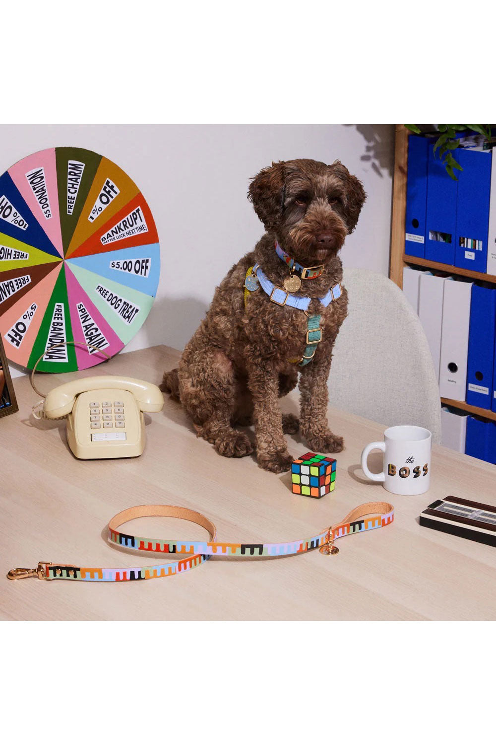 NICE DIGS LEVEL UP DOG LEASH