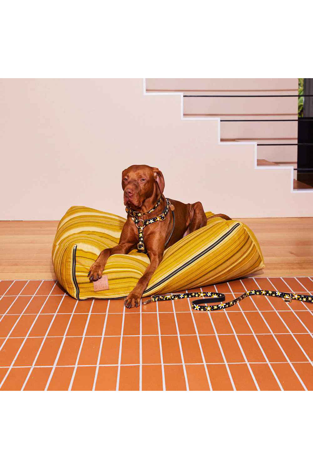 NICE DIGS POSIE DOG LEASH