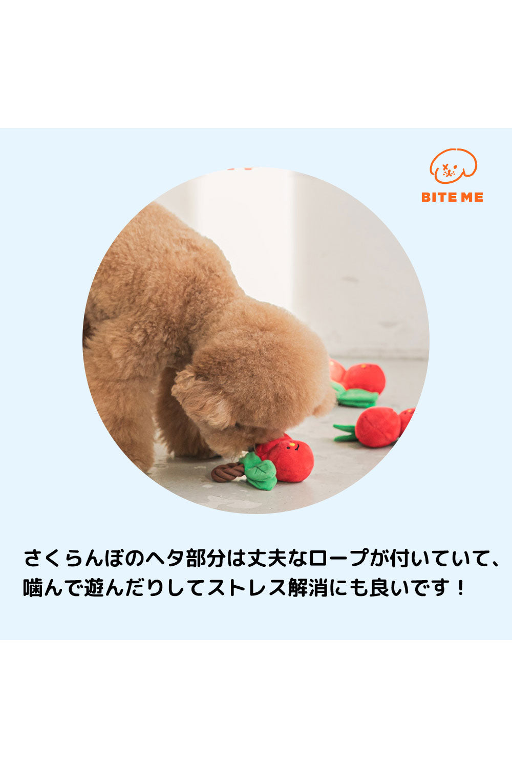 BITE ME チェリーロープ