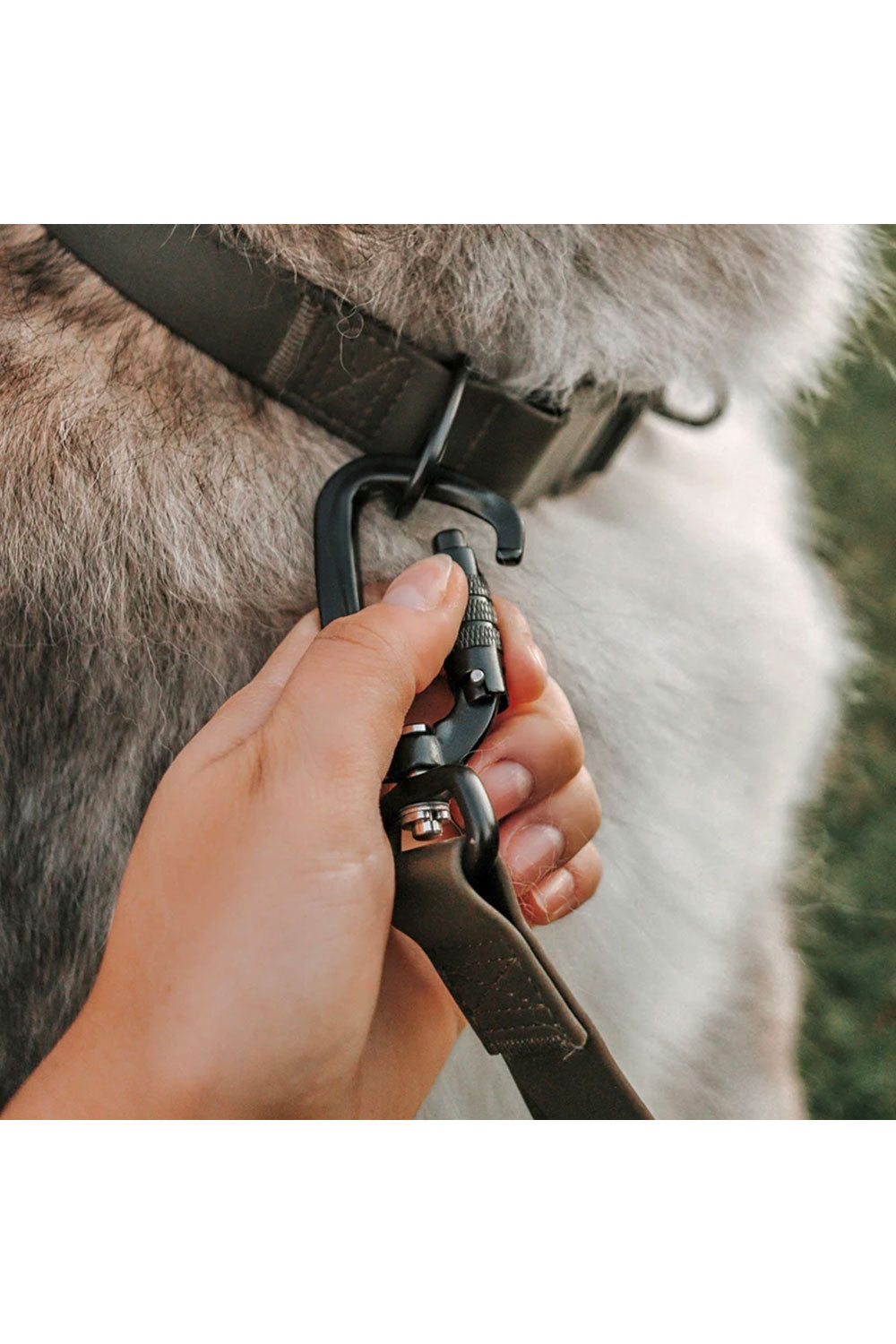 Lambwolf Collective MELLEM WATERPROOF CONVERTIBLE LEASH