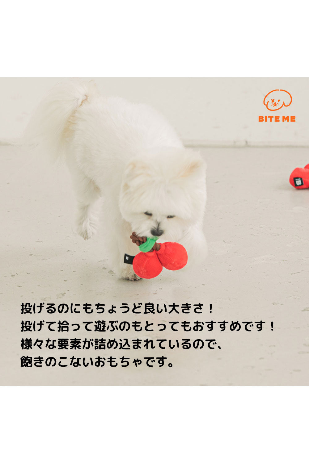 BITE ME チェリーロープ