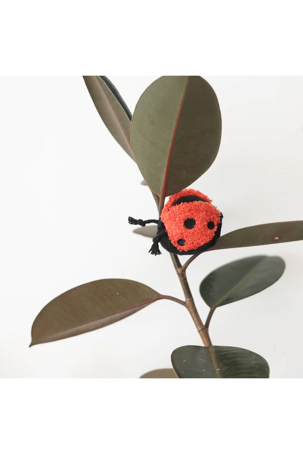 Lambwolf Collective LADYBUG POP SQUEAKY + BOUNCY