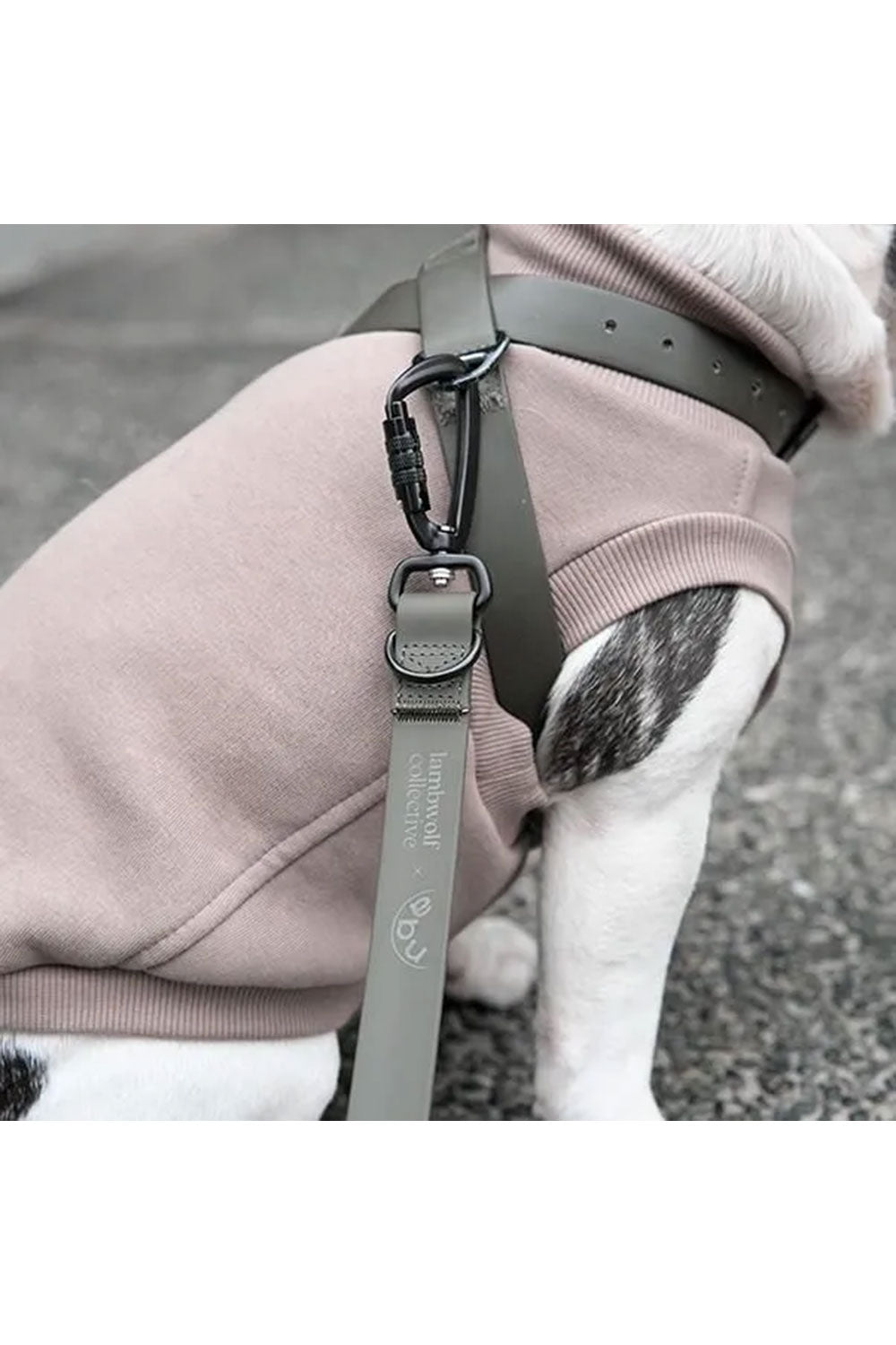 Lambwolf Collective WATERPROOF SHOULDER LEAD abu edition