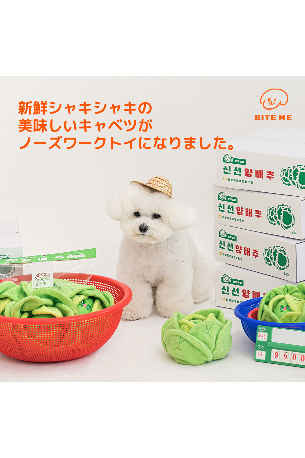BITE ME キャベツくんくんボール