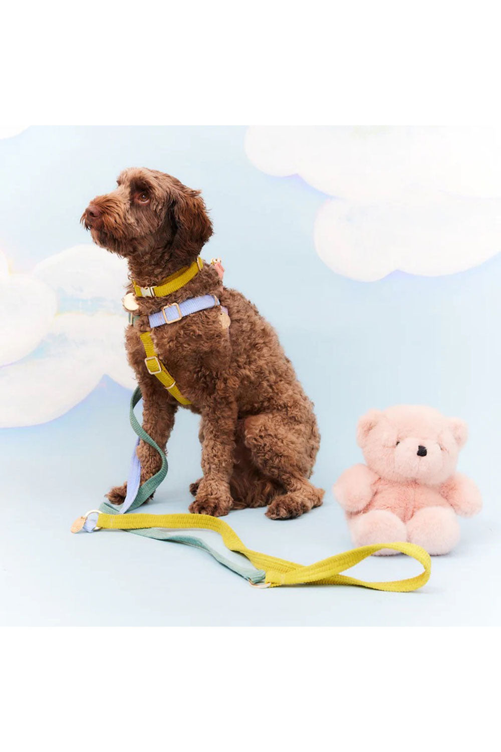 NICE DIGS CORD ADJUSTABLE DOG LEASH