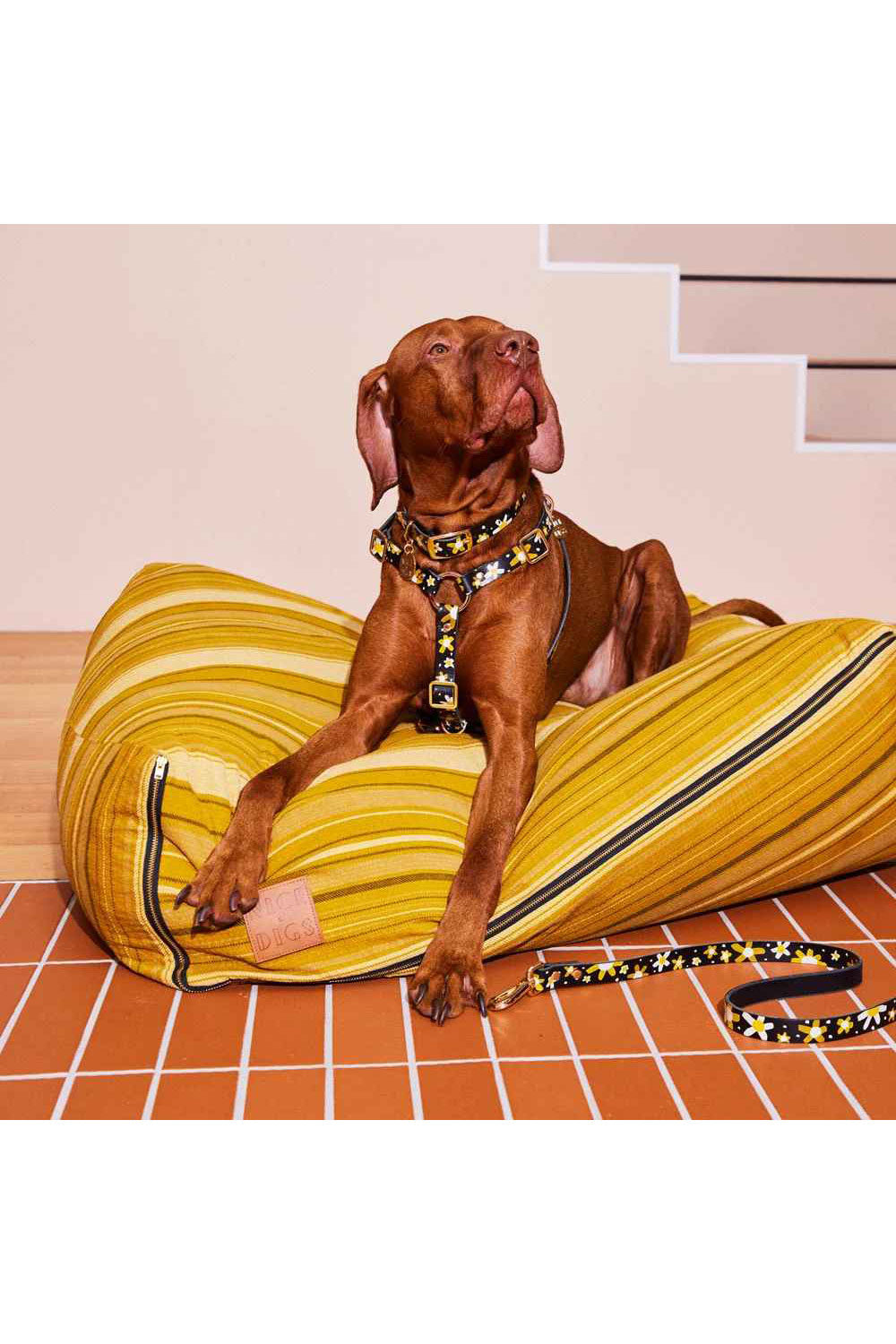 NICE DIGS POSIE DOG CALLAR