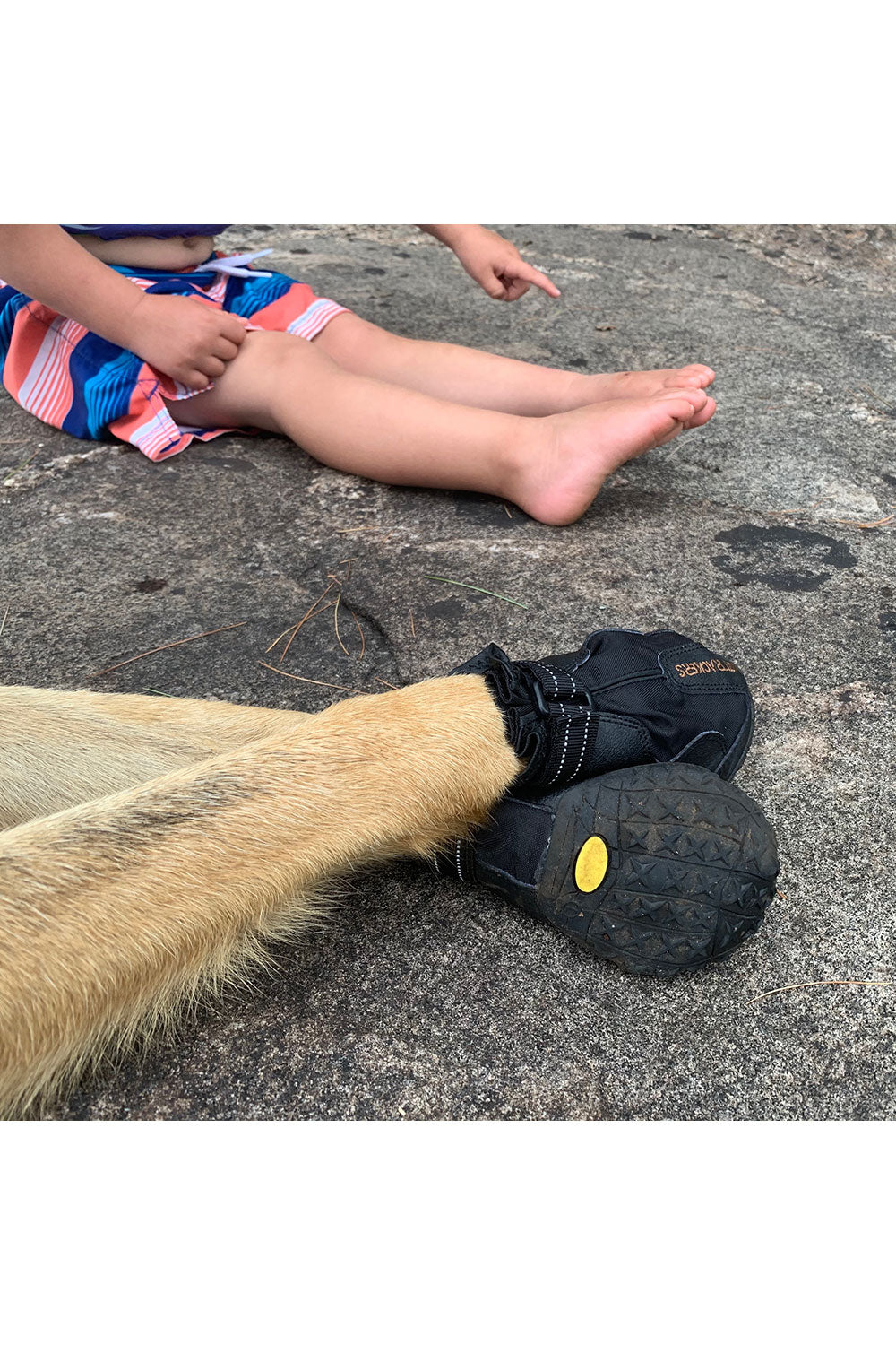Muttluks Mutt Trackers