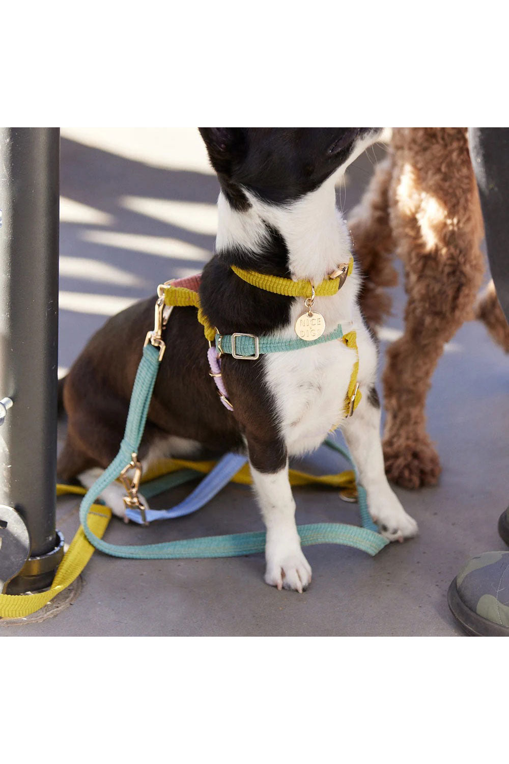 NICE DIGS CORD ADJUSTABLE DOG LEASH